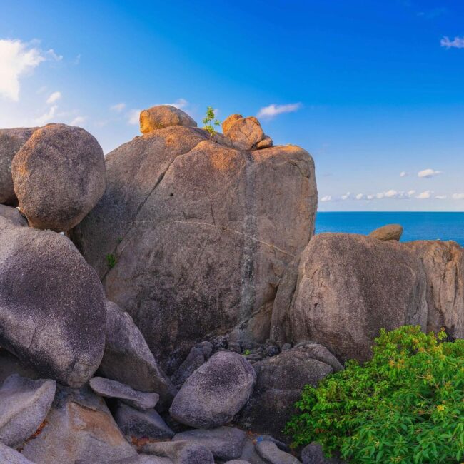 This spectacular view is provided by Ko Nang Yuan’s viewpoint in Surat Thani.
 
…